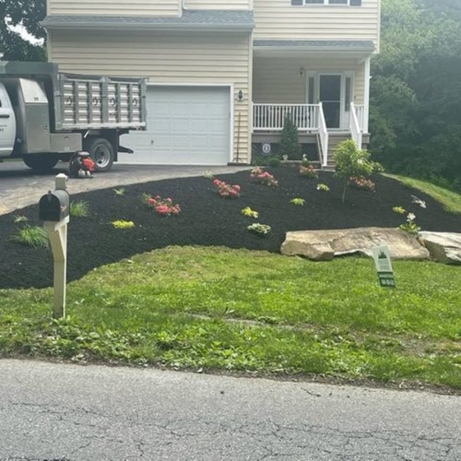 landscaping in front of house in flowerbed