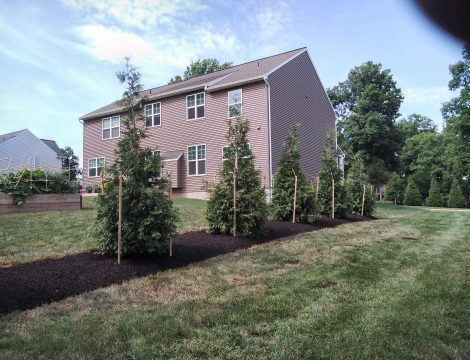 Landscape Contractor West Chester PA