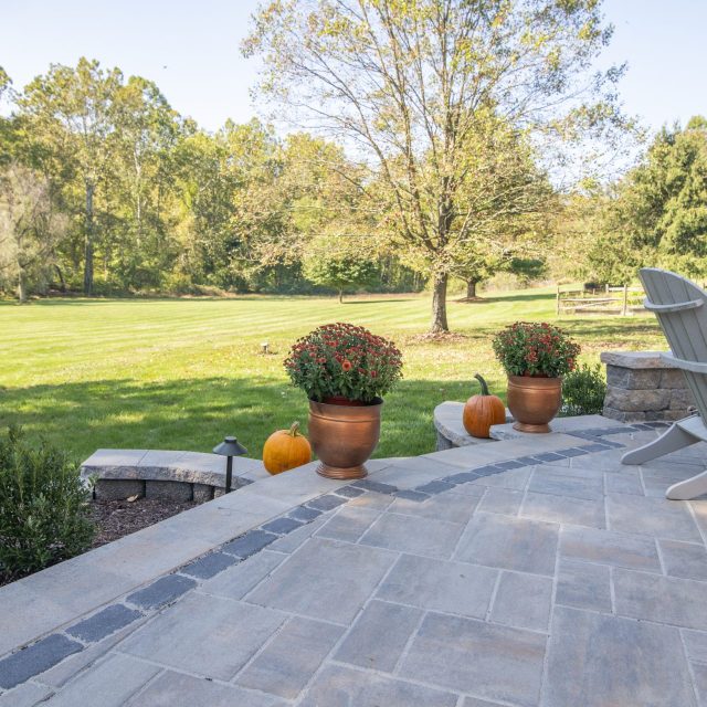 photos of mums on edge of hardscaped patio